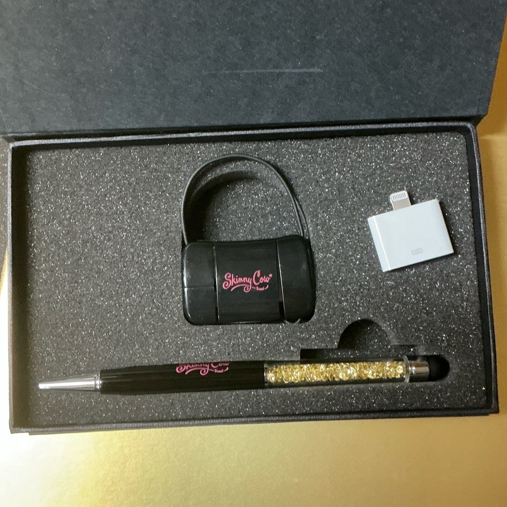 Skinny Cow Stylus and Charging Set plus Apple Adapter